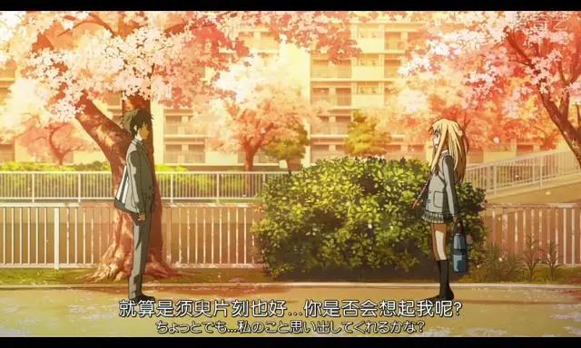 四月是你的谎言：在樱花飞舞的季节里，对你编织最美丽的谎言