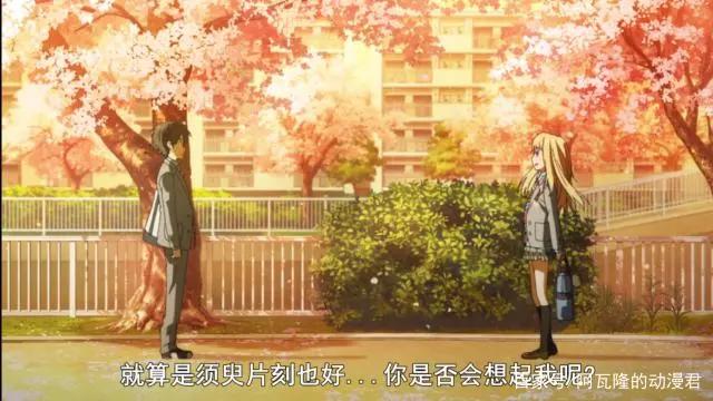 最美的谎言，把你带到我身边。——治愈大作《四月是你的谎言》