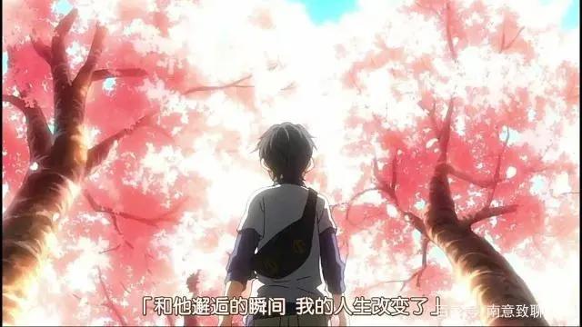 安利感人动漫，《四月是你的谎言》，看了这部久久不能释怀！