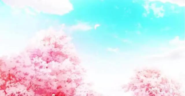 动人的催泪番《四月是你的谎言》，所有的遇见都是最好的安排