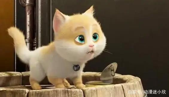 本以为是一部国漫佳作，可惜导演不会讲故事，骂声一片