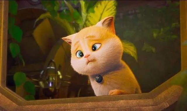 猫与桃花源：六句台词展现不一样的教育，令人深思