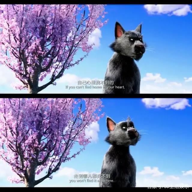 终于有拍猫咪的电影了，《猫与桃花源》，属于你的热血与温情