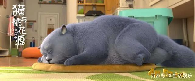 终于有拍猫咪的电影了，《猫与桃花源》，属于你的热血与温情