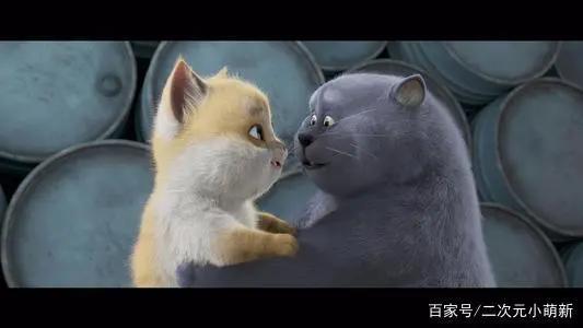 猫与桃花源：理想与现实的碰撞，桃花源是一个什么神奇的地方