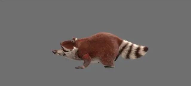 《猫与桃花源》的动画和绑定难在哪儿？追光两位总监来告诉你