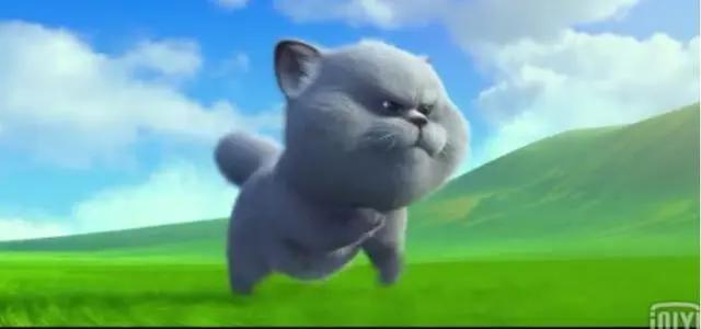 看了《猫与桃花源》只想说，厉害了我的国产动画