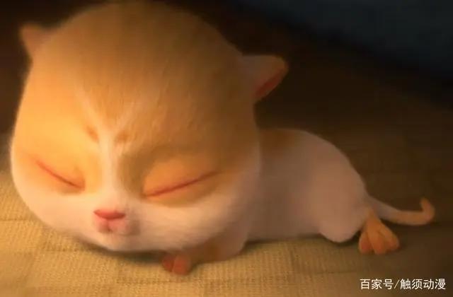 国产动画电影《猫与桃花源》，如何评价？