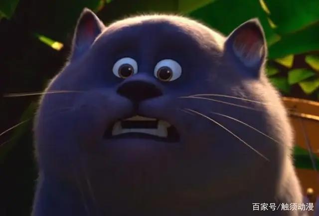 国产动画电影《猫与桃花源》，如何评价？