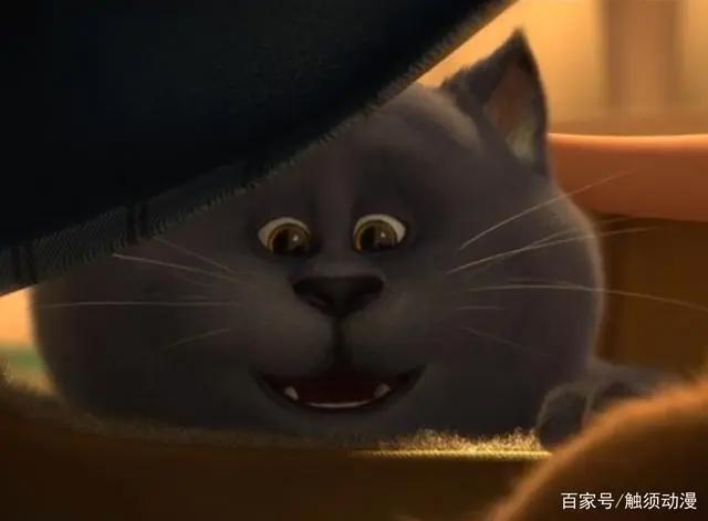 国产动画电影《猫与桃花源》，如何评价？