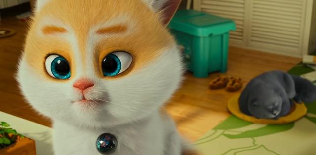 动漫影评丨《猫与桃花源》向往的生活就在心中，探索就会有收获