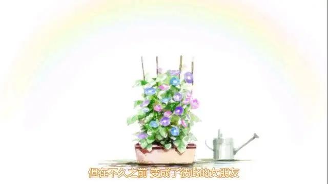 《牵牛花与加濑同学》杂谈向影评