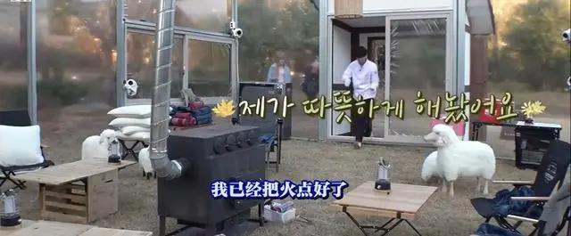 老罗新综艺《尹stay》依旧是熟悉的治愈配方，还是那么好看