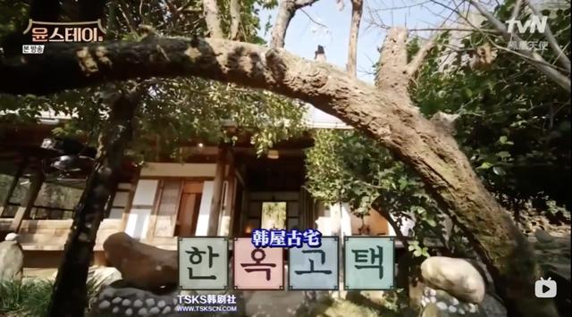 评《尹STAY》为经营类综艺天花板，大家没意见吧？