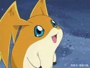 数码宝贝：第一部8只数码宝贝各是怎样的性格？迪路兽又萌又成熟