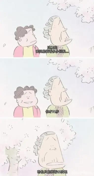 《我的邻居山田君》：平淡的生活美学，用俳句点睛，书写家庭篇章