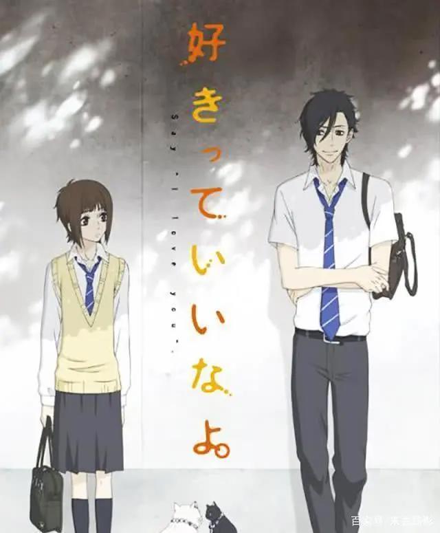 绝美！小众动漫又来了，你绝对要看，不看后悔系列！