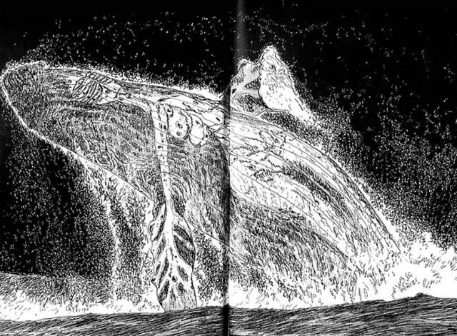 《海兽之子》差强人意，日本动画电影为何屡屡碰壁中国市场？