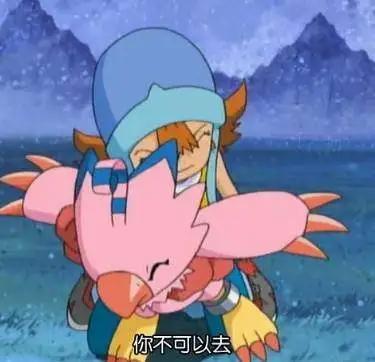 《数码宝贝》系列动漫前二代女主角和数码宝贝介绍