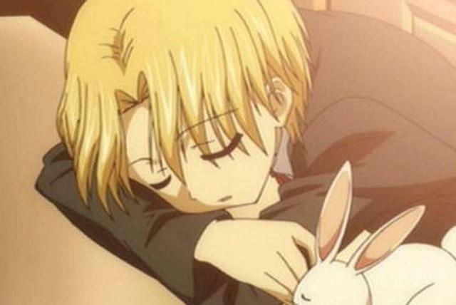 细数《爱丽丝学园》哪个是你的本命男神