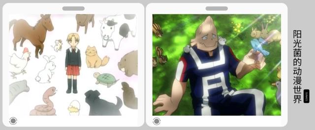 《我的英雄学院》中人物能力的设定竟是借鉴这部老动画！