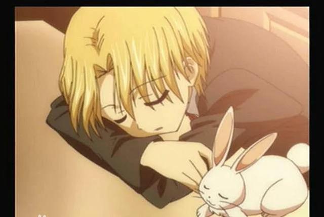 《爱丽丝学园》里你最喜欢谁？