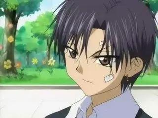 爱丽丝学园男主角日向枣，拥有火焰爱丽丝，话少高冷内心却很温柔