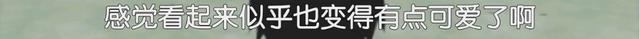 这些动漫老梗你了解么？老二次元应该全都知道吧？