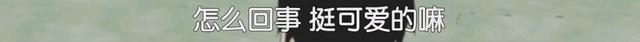 这些动漫老梗你了解么？老二次元应该全都知道吧？