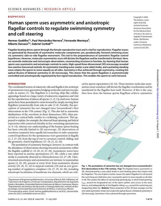 红莲螺岩：螺旋力到底象征什么？十个回答九个对