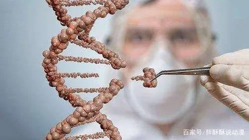 不讲道理的背后却蕴藏深意——热血动画神作《天元突破红莲螺岩》