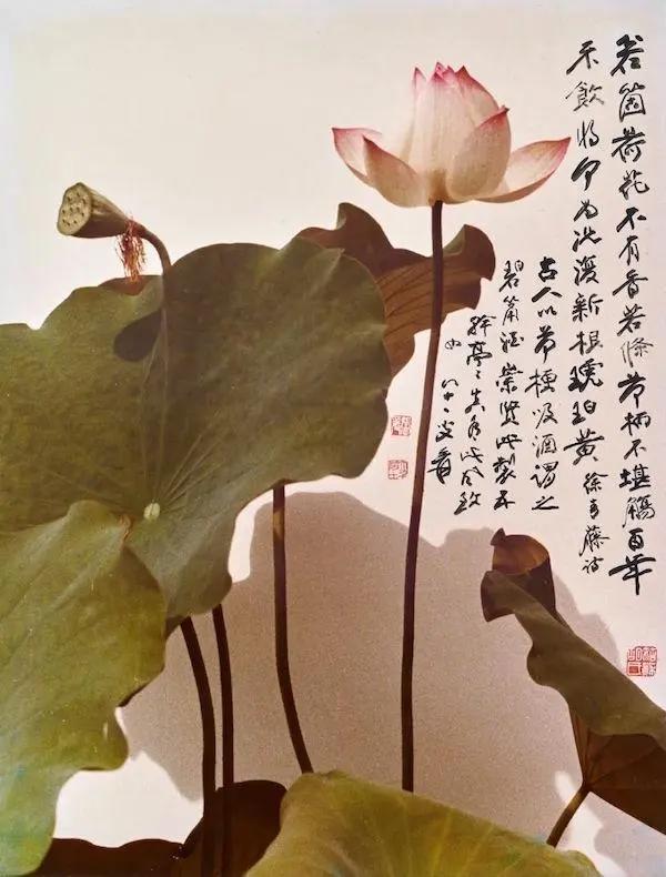 一周观展指南｜“云间三友”逸笔丹青，“庚子锣鼓”迎新味浓