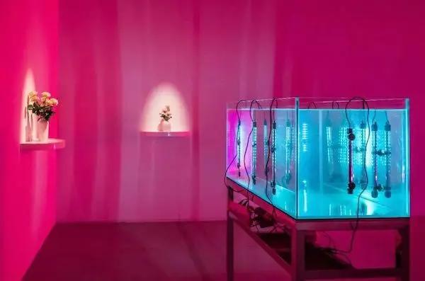 一周观展指南｜“云间三友”逸笔丹青，“庚子锣鼓”迎新味浓