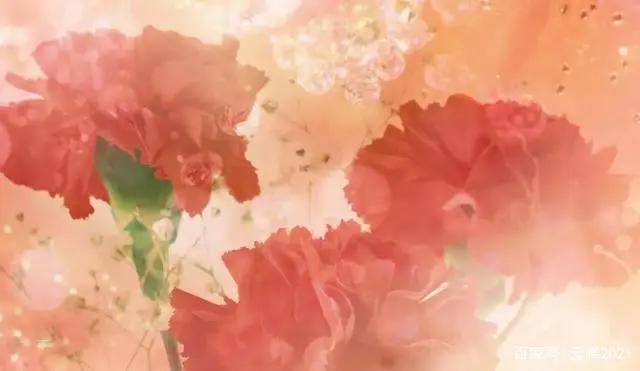 名美美术教育：一位成功艺术家的背后都有一位怎样的母亲？