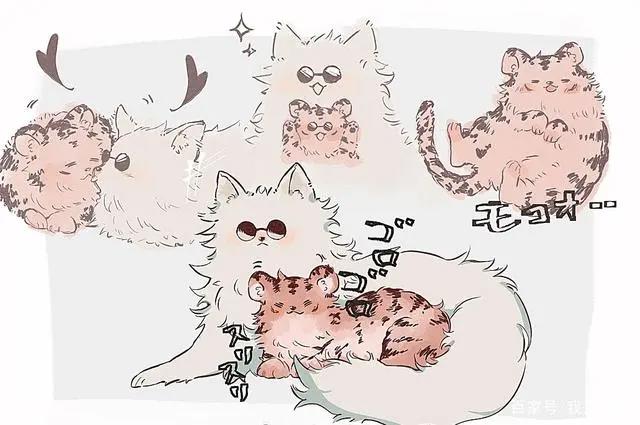 漫画：五条猫和小虎崽子，咒术回战猫系漫画，白猫养萌虎