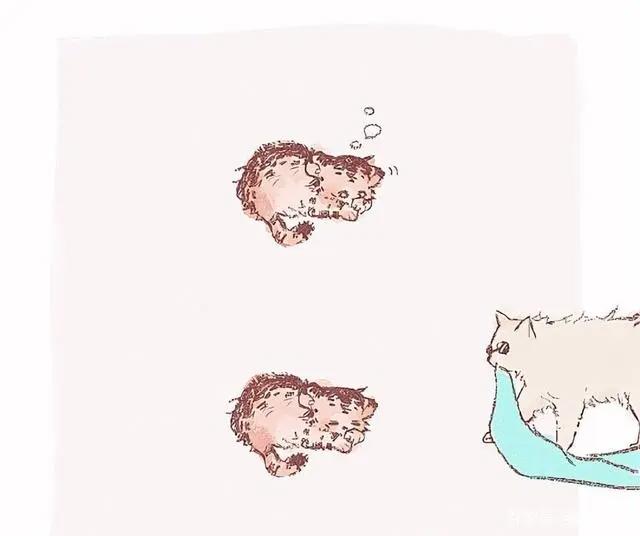 漫画：五条猫和小虎崽子，咒术回战猫系漫画，白猫养萌虎