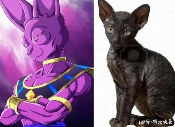 《龙珠》10位最强大的BOSS级人物，吉连并不是最强