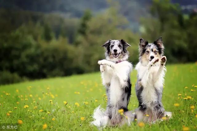 三岁左右小孩子教育动漫排名以及最好不要让孩子看的动画排名