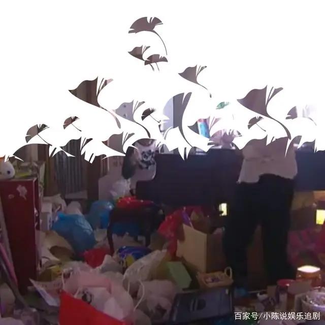 上野树里成名作《交响情人梦》你可能不知道的戏里戏外的故事