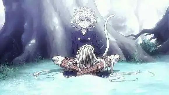 一大群猫娘靠近网友票选最萌猫耳角色