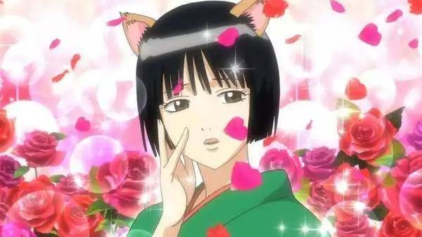 一大群猫娘靠近网友票选最萌猫耳角色