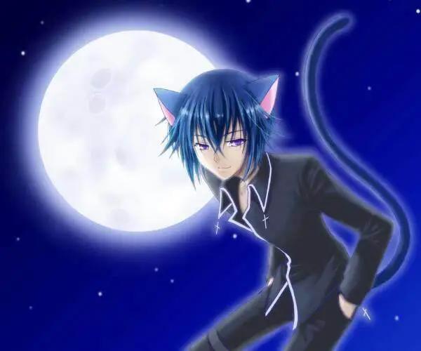 兽耳是萌妹的专利？NO！盘点二次元兽耳少年杀伤力爆满！