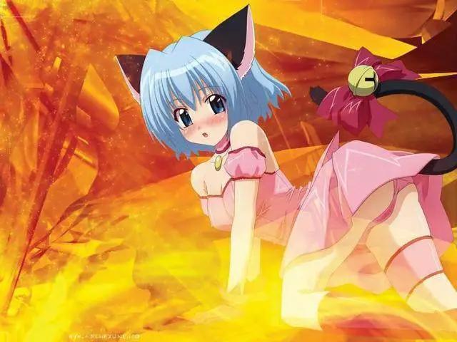 兽耳是萌妹的专利？NO！盘点二次元兽耳少年杀伤力爆满！