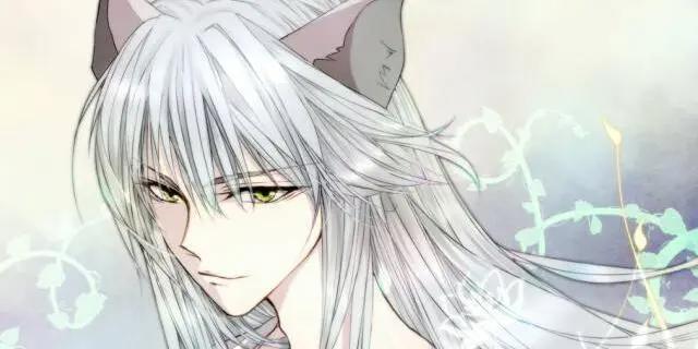 动漫里的又帅又萌的狐妖们，没有一个是你们的菜？