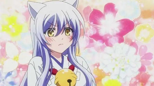 高贵魅惑，盘点动漫中那些可爱迷人的银狐们！