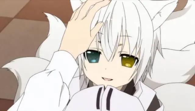 高贵魅惑，盘点动漫中那些可爱迷人的银狐们！