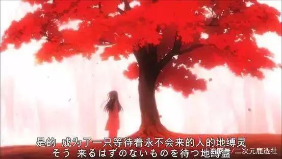 豆瓣8.1，电波少女在线提问，鬼神非要跟我做朋友该怎么破？！