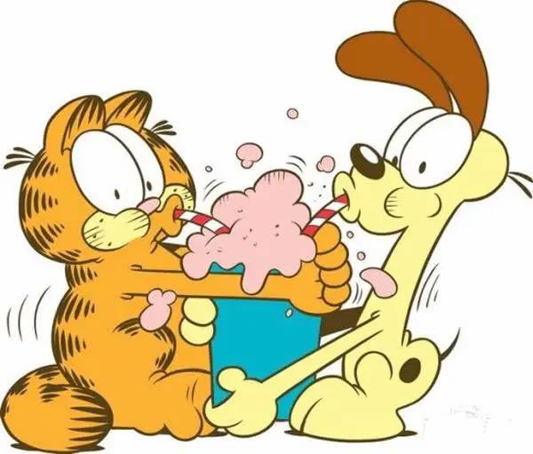 加菲猫的生活过得真滋润，突然发现自己活得还不如一只猫