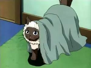 盘点动漫世界里那些可可爱爱的萌宠，有人想带一只回家吗？