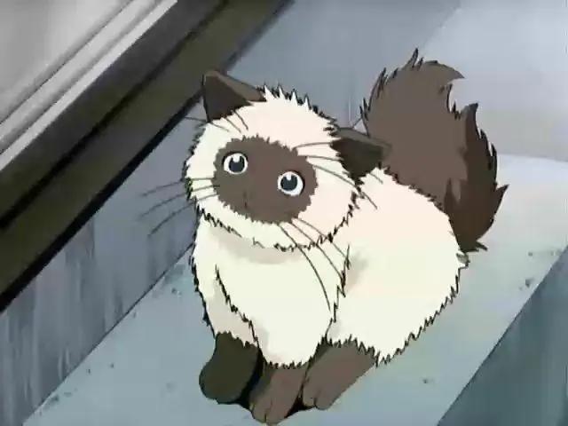 盘点动漫世界里那些可可爱爱的萌宠，有人想带一只回家吗？